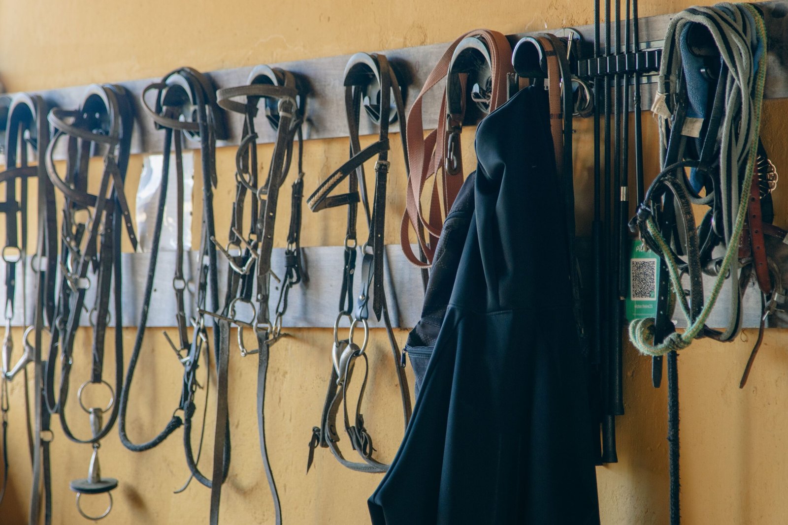 Various horse tack and equipment hanging neatly in a stable.